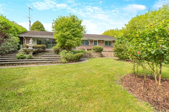 High Street, Rowledge, Farnham... 3 bed bungalow for sale