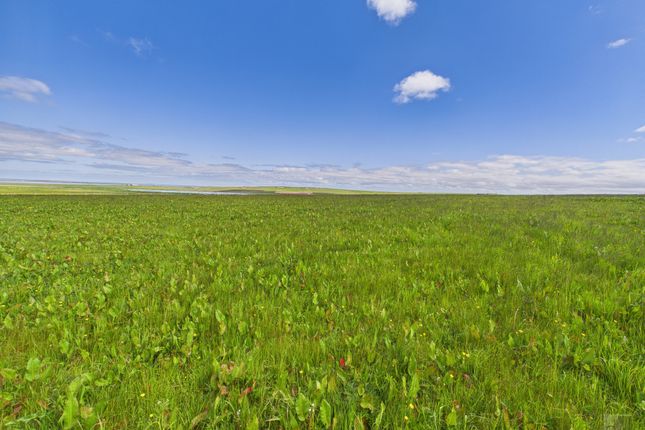 Land