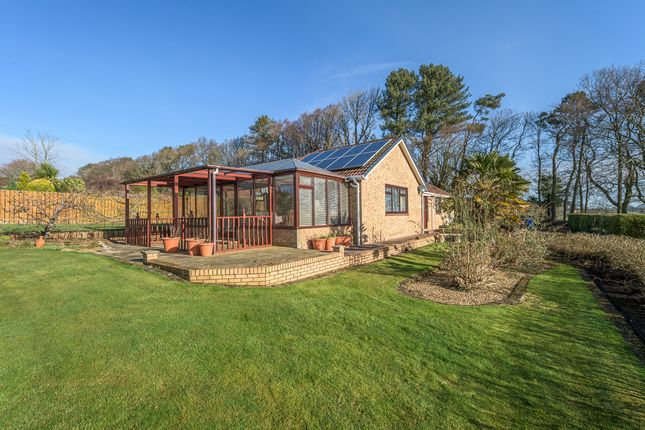 Swarland, Morpeth NE65 3 bed detached bungalow for sale