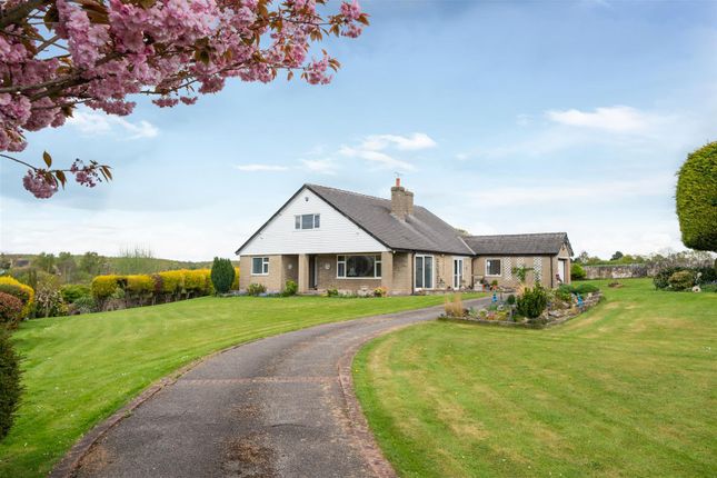 3 bed detached bungalow