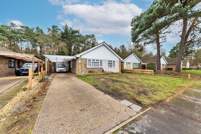 Woodlands Way, Bury St. Edmunds IP28 3 bed detached bungalow for sale