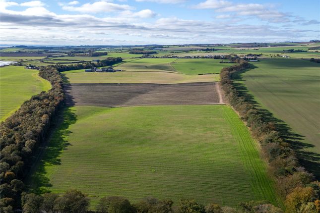 Colliston, Arbroath, Angus, DD11 5 bed property with land for sale