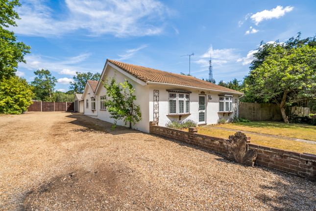 Odiham Road, Farnham, GU10 4 bed bungalow for sale
