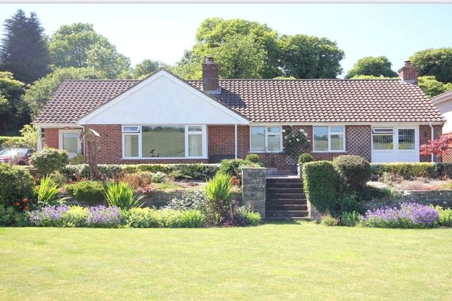 Blandford Road, Coombe Bissett... 4 bed bungalow for sale