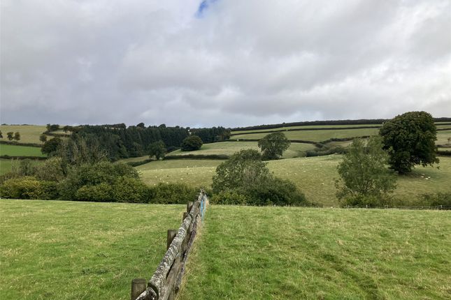Equestrian facility for sale