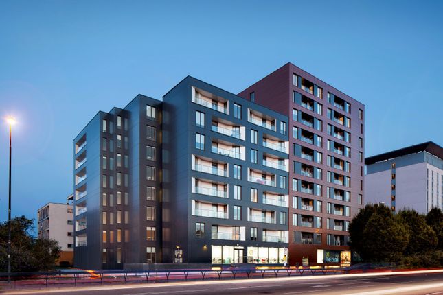 1 bed flat