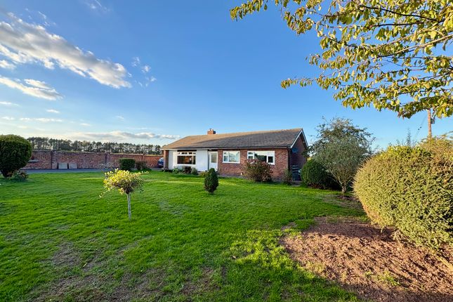 3 bed detached bungalow