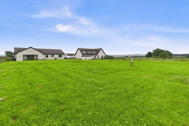 Plot for sale
