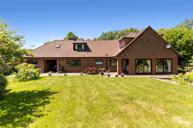 Warrendene Road, Hughenden Valley... 5 bed detached house for sale