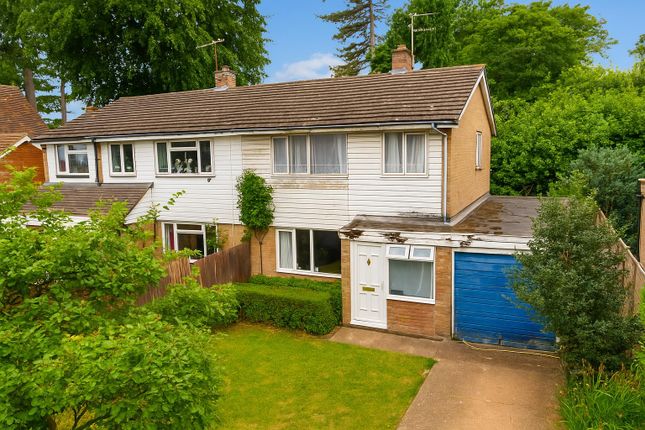 Mangrove Road, Hertford SG13 3 bed semi