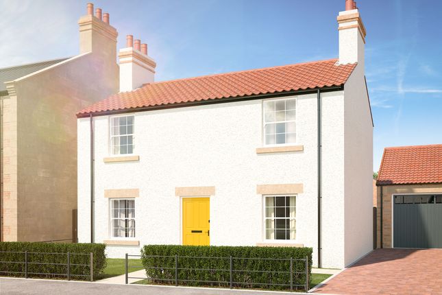 The Rickleton at Hedworths Green at... 3 bed detached house for sale