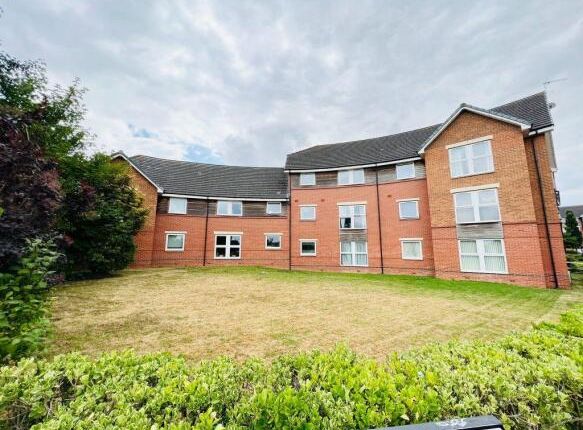 1 bed flat