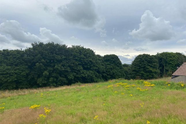 Plot12, Braehead Farm, Rumbling Bridge Plot for sale