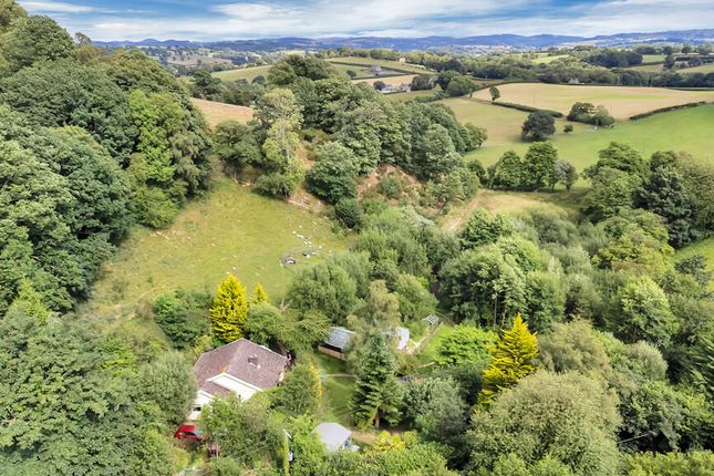 3 bedroom smallholding for sale