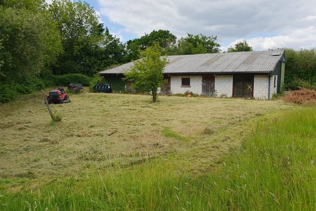 Broadshell, Pyworthy, EX22 Smallholding for sale