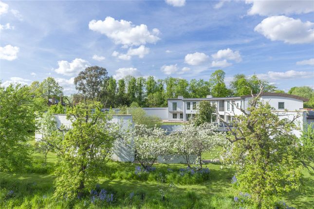 Bushy Park, Hampton Hill, Hampton... 6 bed detached house for sale