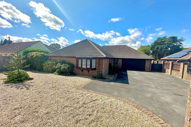 Oaks Drive, St. Leonards, Ringwood... 4 bed bungalow for sale