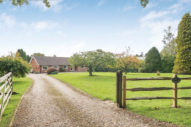 Petersfield Road, Monkwood... 4 bed bungalow for sale
