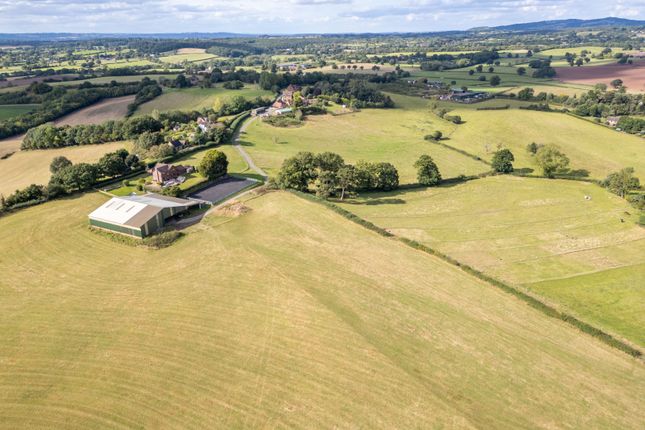 Monsieurs Hall Lane, Dodford... Equestrian property for sale