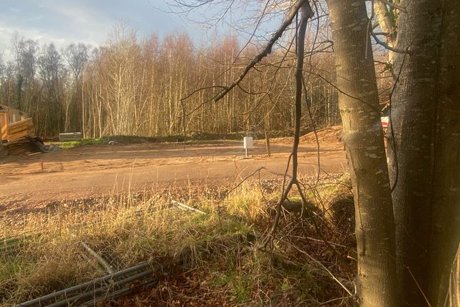 Woodland Plot No, Kinloss, Forres, Moray Plot for sale