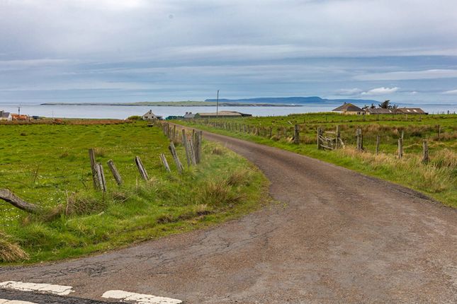Glamping Plot next to Duncansby... Land for sale