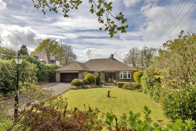 Pilmer Road, Crowborough, East... 3 bed bungalow for sale