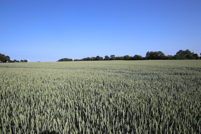 Land At Brandesburton Land for sale