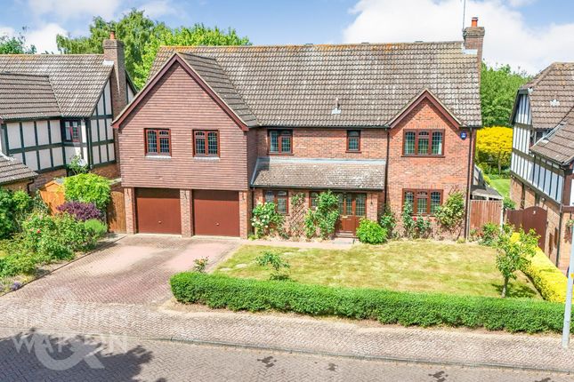 Broadmead Green, Thorpe End, Norwich 5 bed detached house for sale