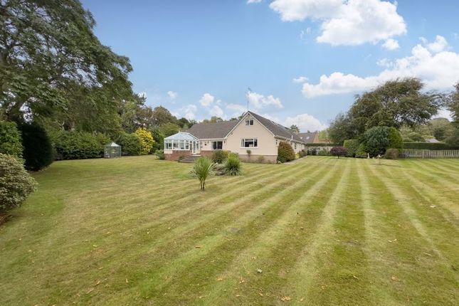4 bedroom detached bungalow for sale