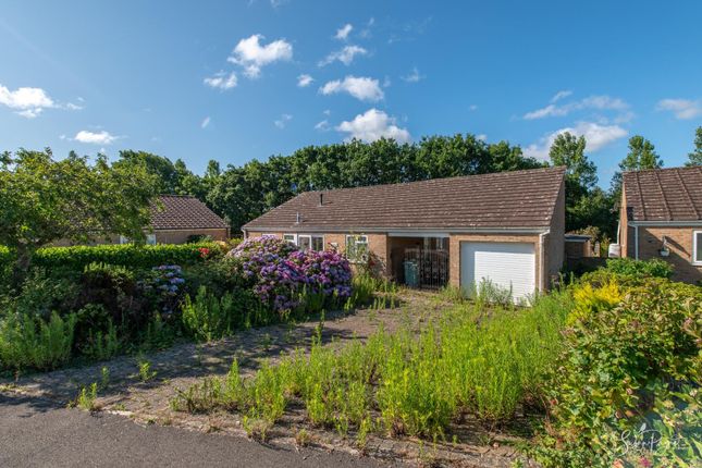 Forest Way, Winford, Sandown 3 bed detached bungalow for sale