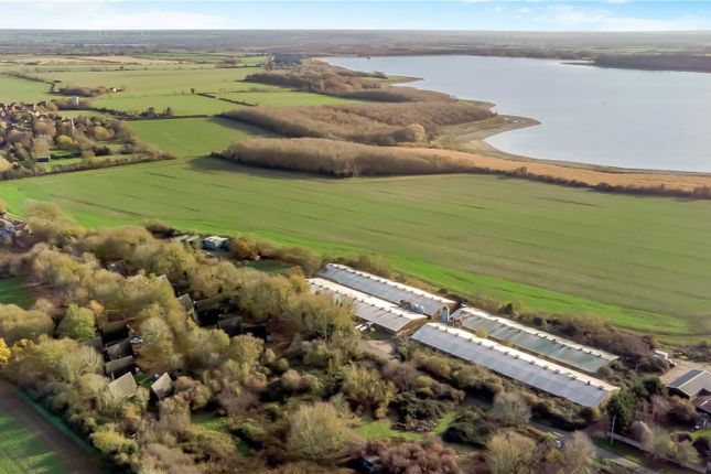 Ambleside Farm, Church Road, Grafham... Land for sale