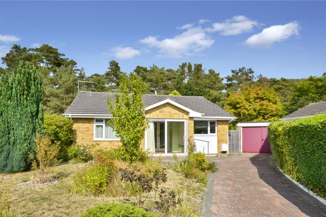 Uplands Road, West Moors, Ferndown, BH22 3 bed bungalow for sale