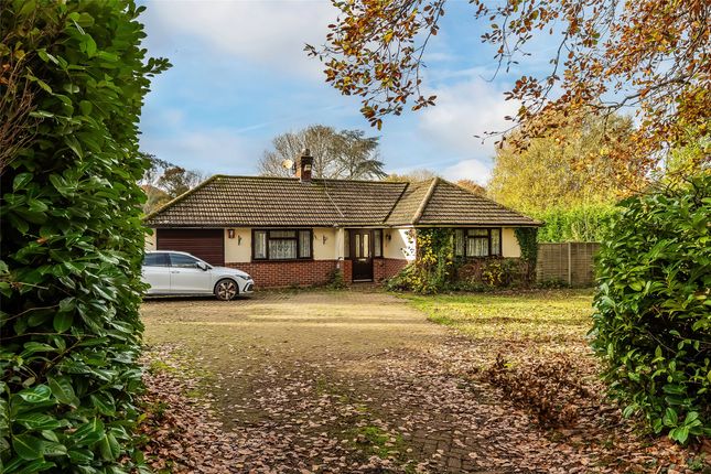 Newdigate Road, Beare Green, Dorking... 2 bed bungalow for sale