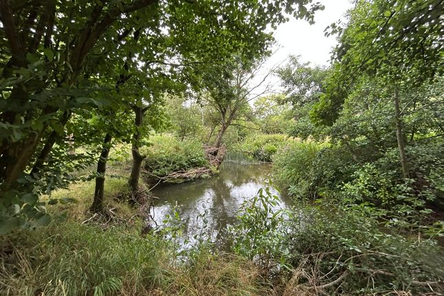 6.079 Acres Wodland, Pelham Lane... Land for sale