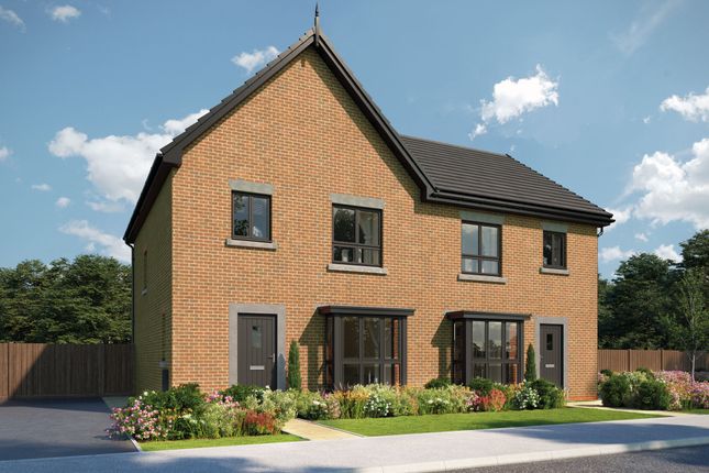 The Chandler at Hopwood Meadows... 3 bed semi