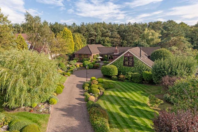 8 Ash Meadows, Picktree, Washington... 3 bed detached bungalow for sale
