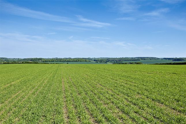 Land At Ashley, Dalham Road, Ashley... Land for sale