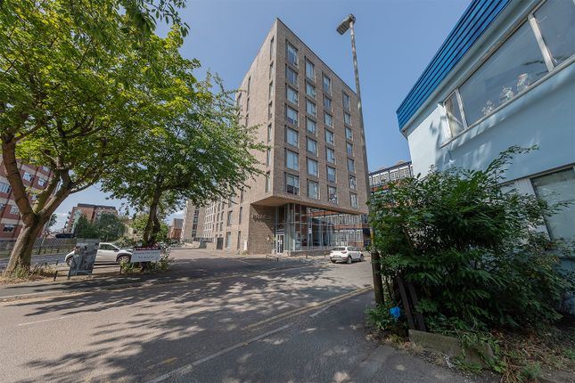 1 bed flat