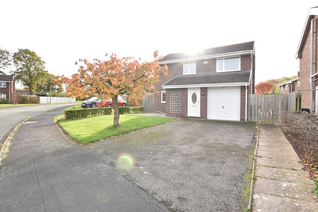 3 bed detached house