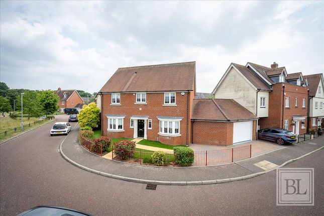 Radvald Chase, Stanway, Colchester, CO3 5 bed link detached house for sale