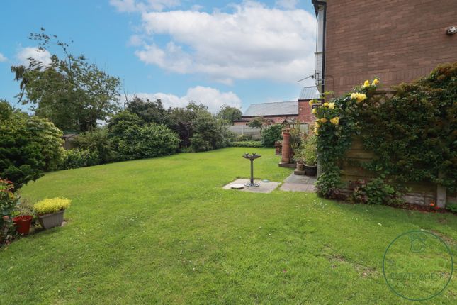 1 bed flat