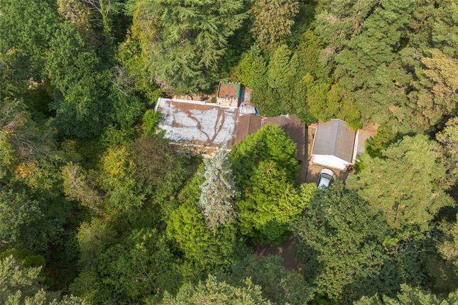 Ripplesmere, Berkshire RG12 5 bed detached house for sale