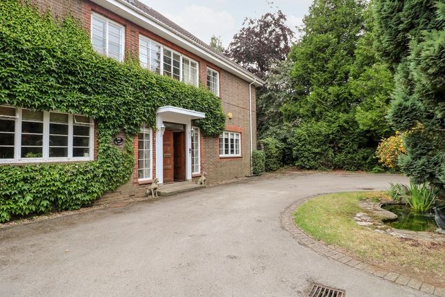 7 bed detached house