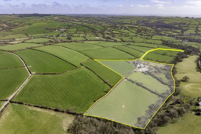 5 bedroom smallholding for sale