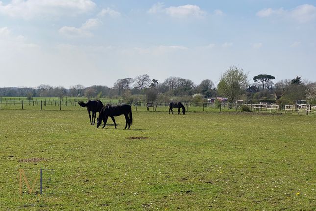 Round Street, Gravesend DA13 Farm land for sale