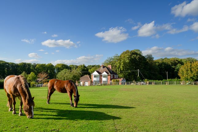 Nr Lea, With Land & Stables 4 bed detached house for sale