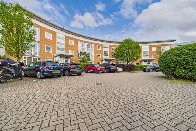 1 bed flat