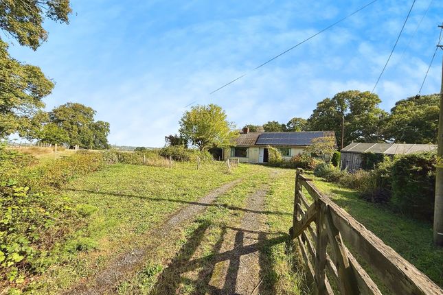 Udimore Road, Rye TN31 3 bed detached bungalow for sale