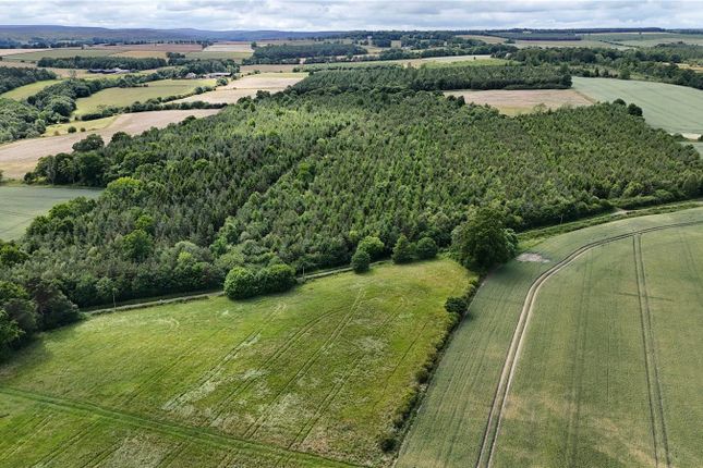 Shotley Estate Woodlands, Consett... Land for sale