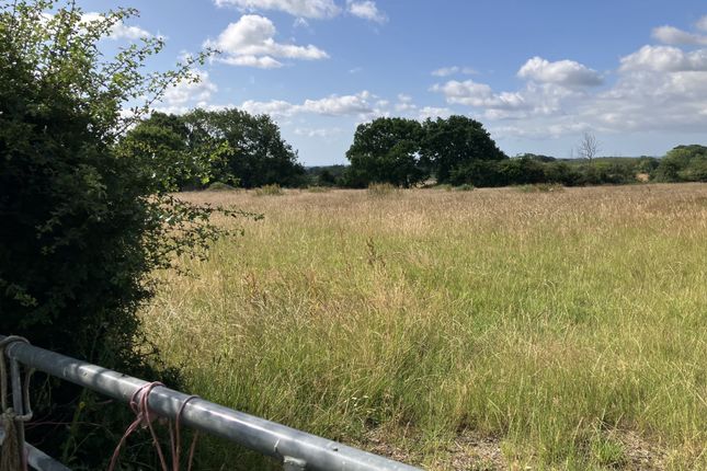 CHALBURY LANE, Horton, BH21 Land for sale